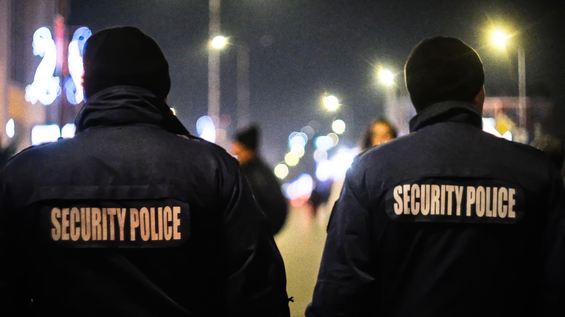 Sicurezza interna: tra criminalità, fiducia e controllo del territorio